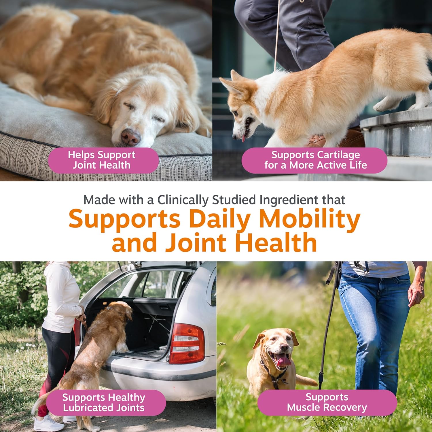 Zesty Paws Hip and Joint for Dogs, Glucosamine for Dogs Hip and Joint Supplement with Chondroitin, MSM, Vitamins C & E - Bacon, 90 Count