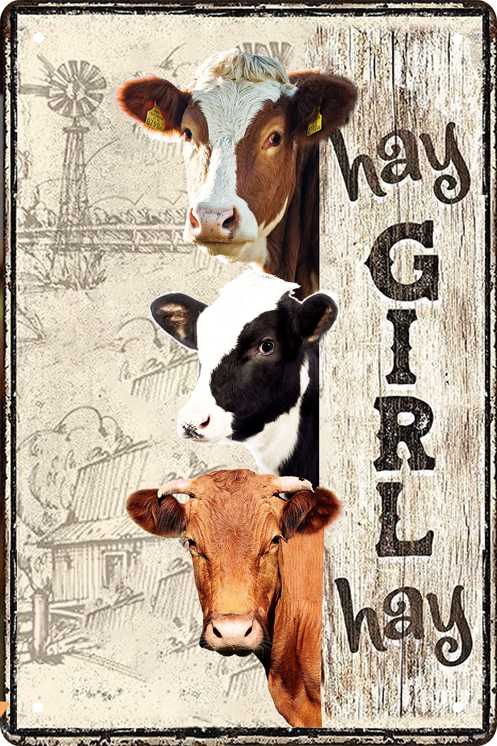 Funny Metal Tin Sign Decor I Only Want Chickens Hey...Don't Judge Me Farm Outdoor Chicken Coop Rustic Wood Decor Home Room Vintage Wall Poster Art Gift 8x12 in
